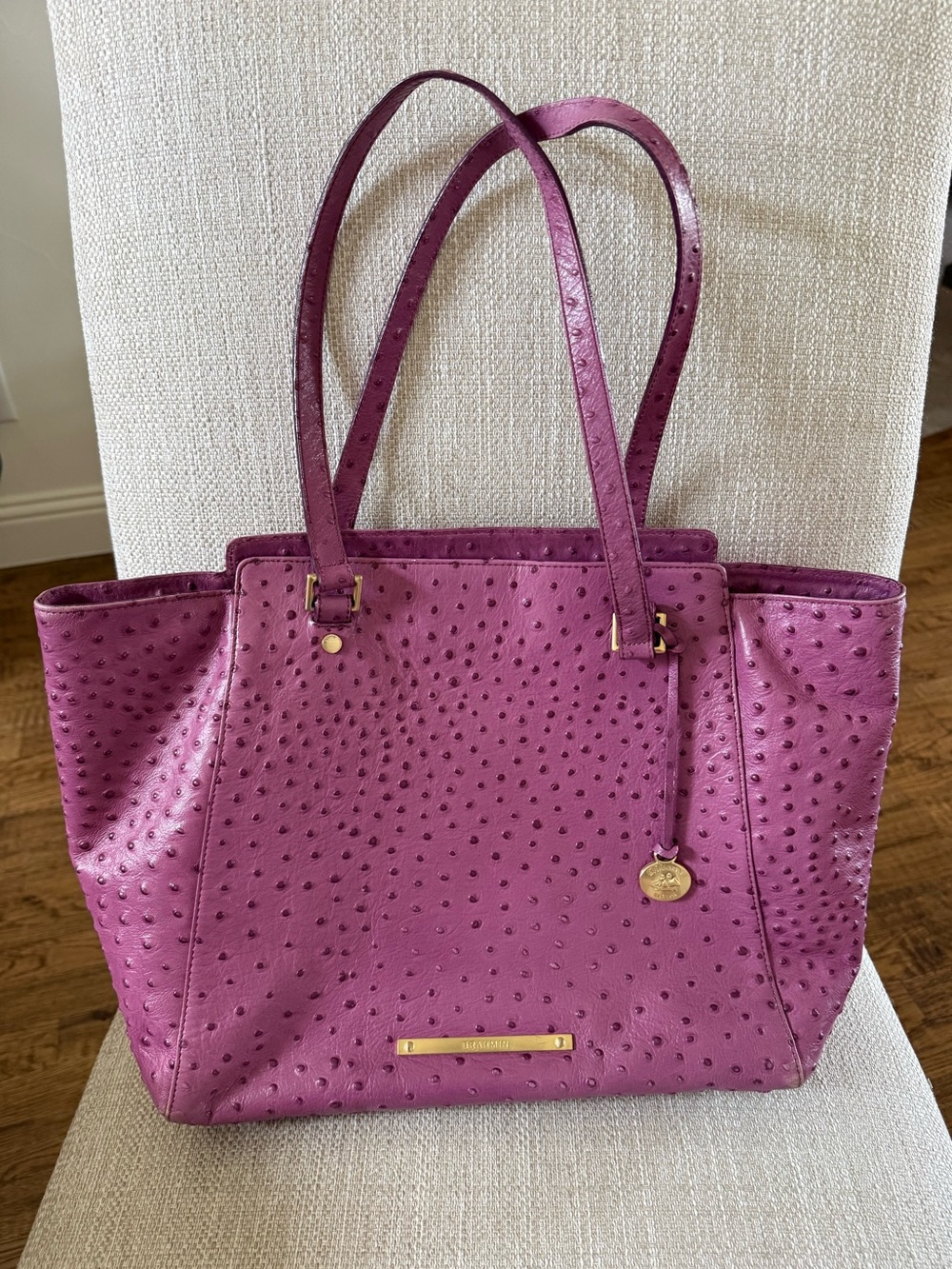 Brahmin Purple Leather Tote Bag